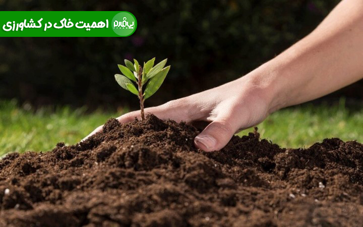 اهمیت خاک در کشاورزی