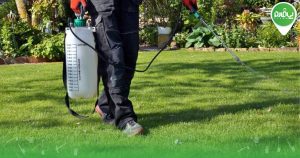 در هنگام خرید سمپاش به چه نکاتی توجه کنیم ؟