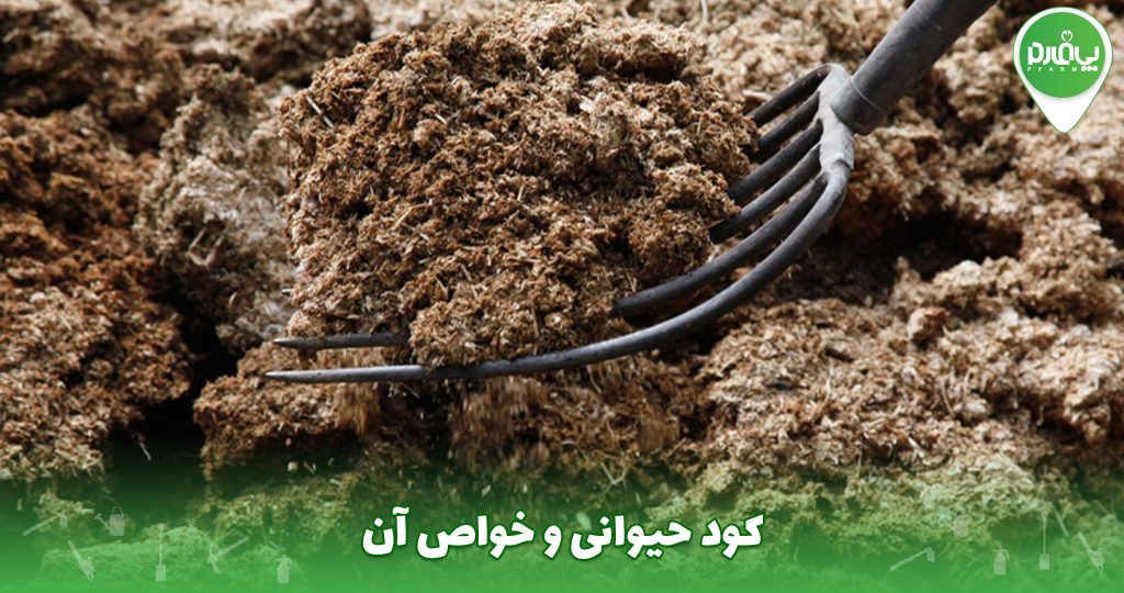 کود حیوانی و خواص آن