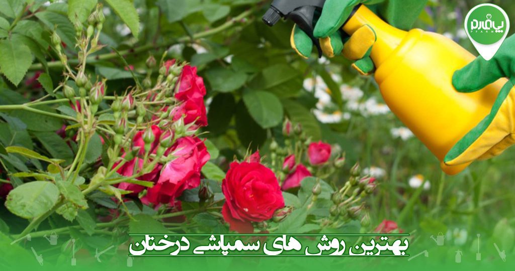 بهترین روش های سمپاشی درختان