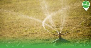 8 روش صرفه جویی آب باغچه