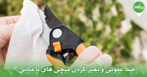ضد عفونی و تمیز کردن قیچی های باغبانی