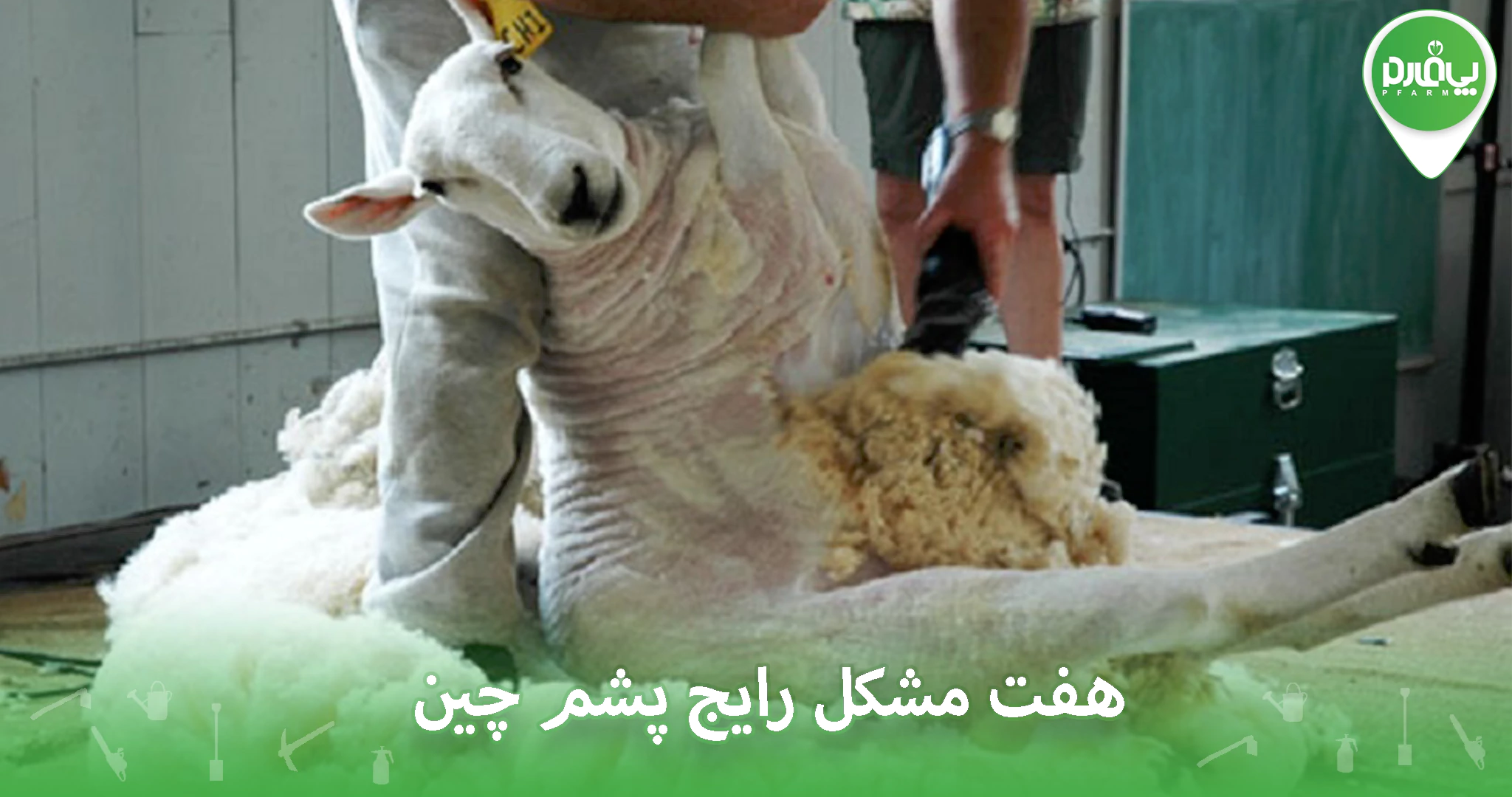 هفت مشکل رایج پشم چین