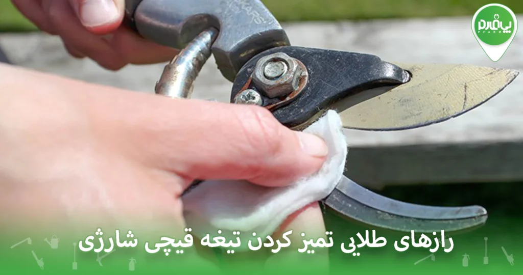 رازهای طلایی تمیز کردن تیغه قیچی شارژی