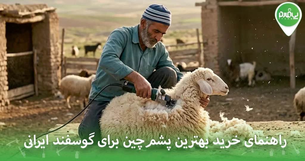 راهنمای خرید بهترین پشم‌چین برای گوسفند ایرانی
