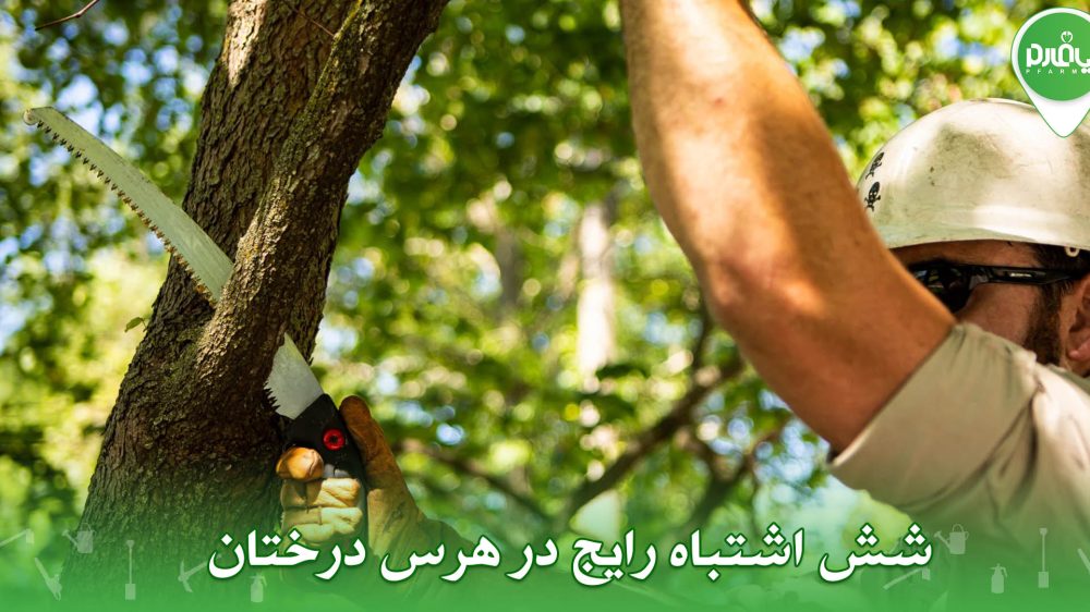 6 اشتباه رایج در هرس درختان