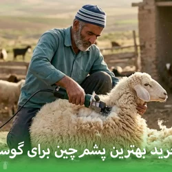 راهنمای خرید بهترین پشم‌چین برای گوسفند ایرانی