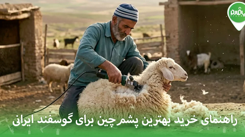 راهنمای خرید بهترین پشم‌چین برای گوسفند ایرانی