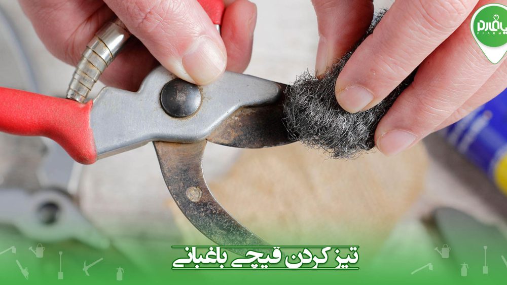 تیز کردن قیچی باغبانی