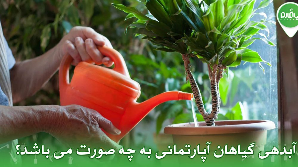 آبدهی گیاهان آپارتمانی به چه صورت می باشد؟