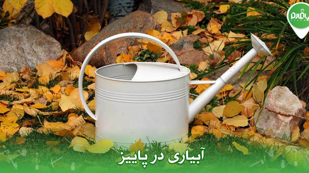 آبیاری در پاییز