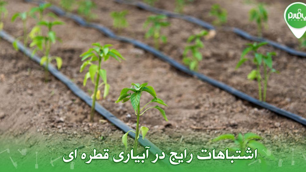 اشتباهات رایج در آبیاری قطره ای
