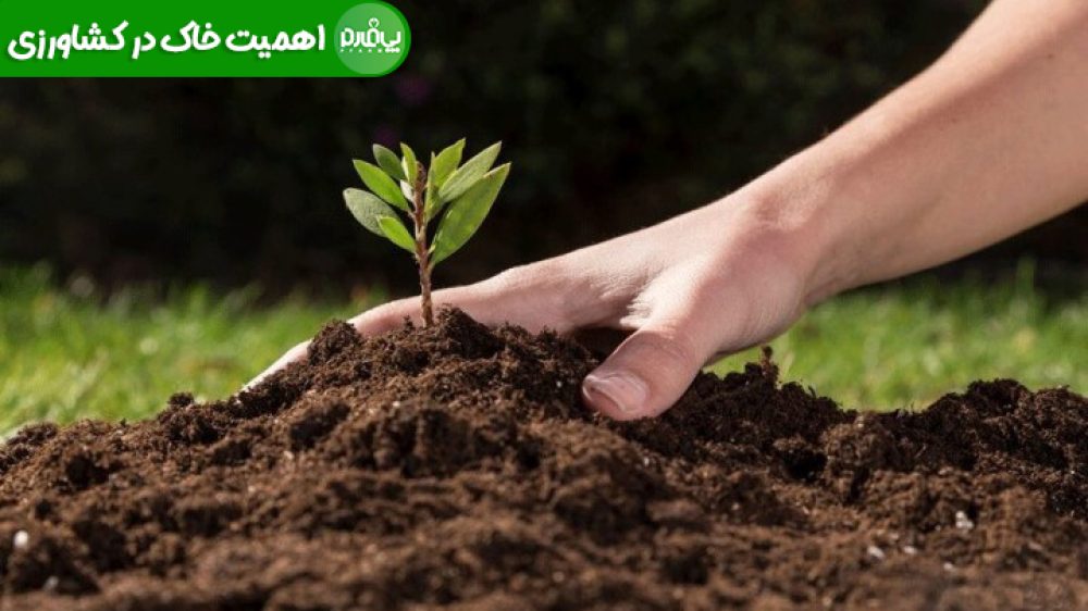 اهمیت خاک در کشاورزی