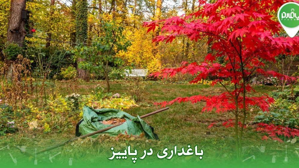 باغداری در پاییز