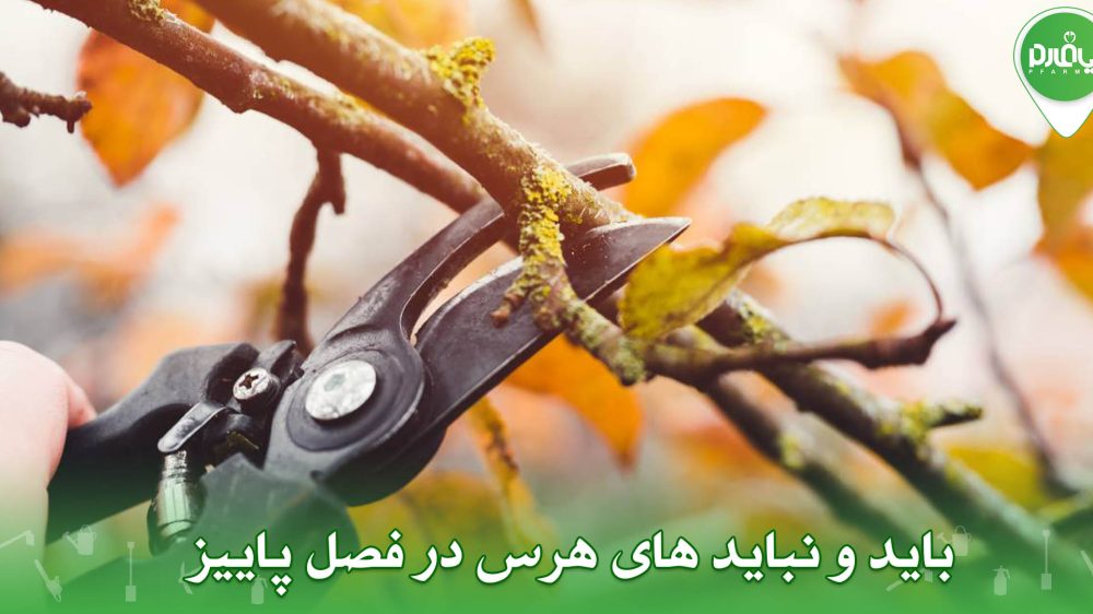 باید و نباید های هرس در فصل پاییز