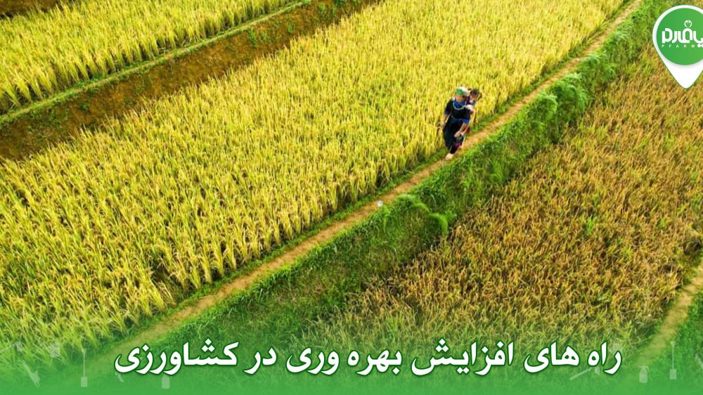 راه های افزایش بهره وری در کشاورزی