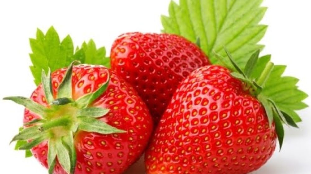 توت فرنگی چه زمانی باید کاشته شود؟