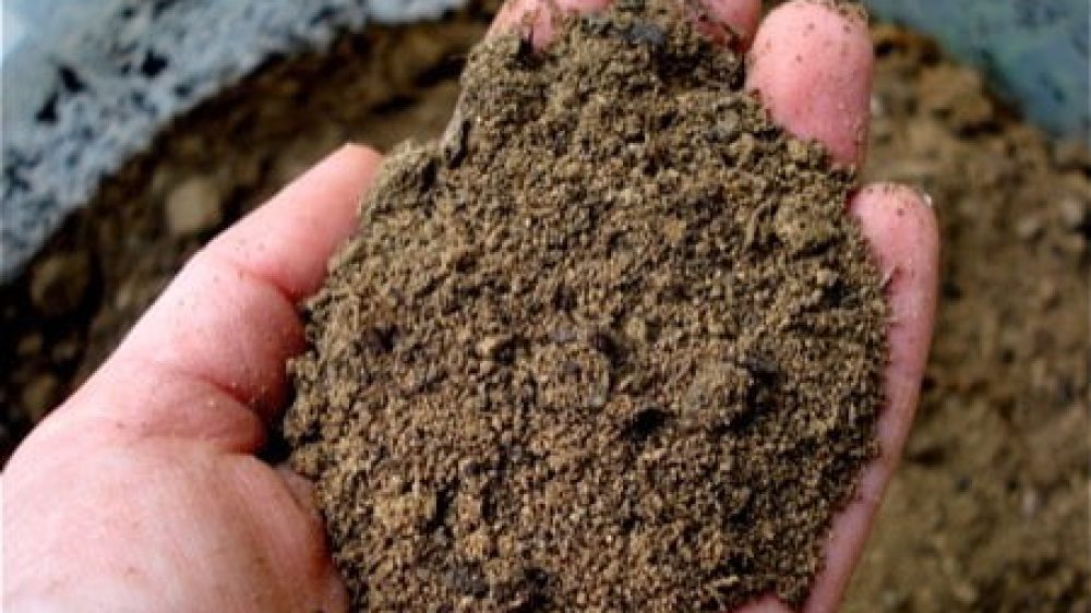 علل کمبود روی (Zn) درخاک های مناطق دیم