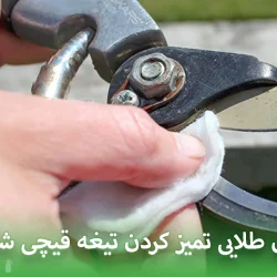 رازهای طلایی تمیز کردن تیغه قیچی شارژی