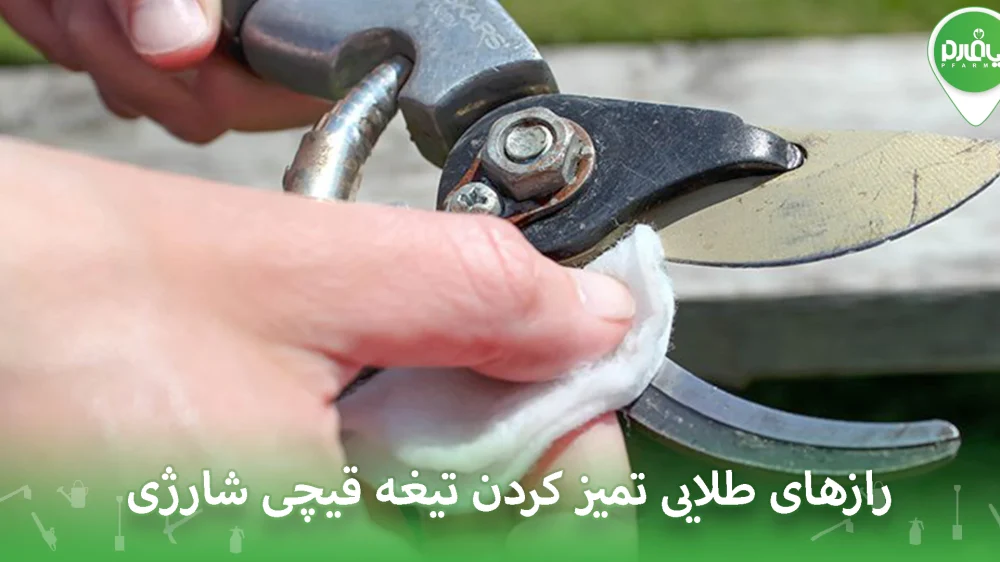 رازهای طلایی تمیز کردن تیغه قیچی شارژی