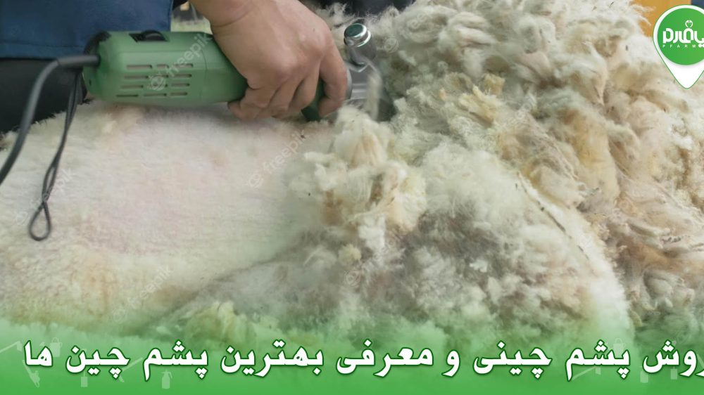 روش پشم چینی و معرفی بهترین پشم چین ها