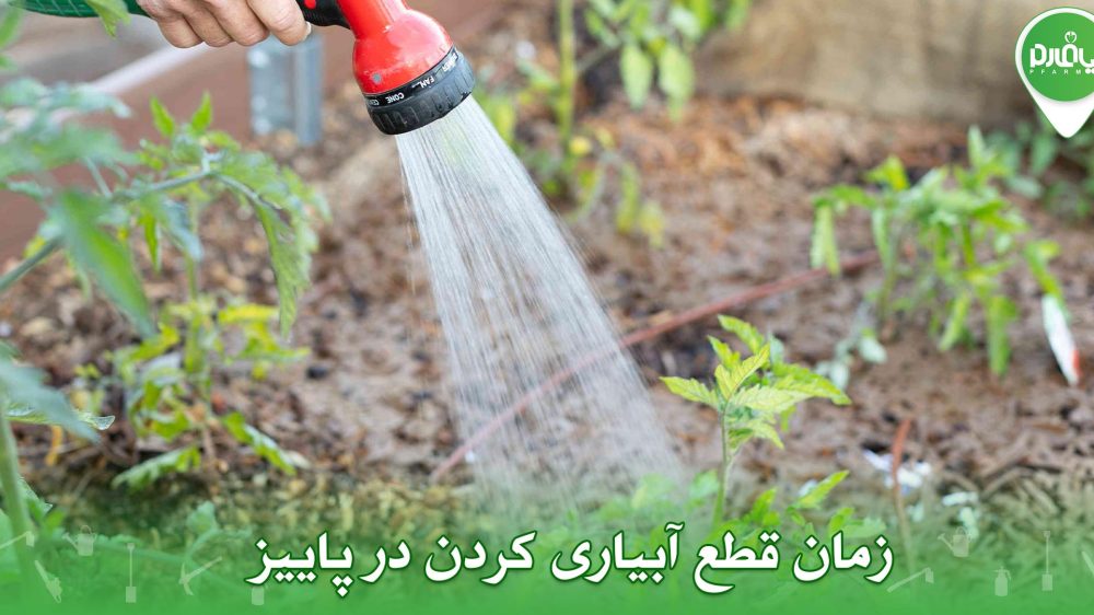 زمان قطع آبیاری کردن در پاییز