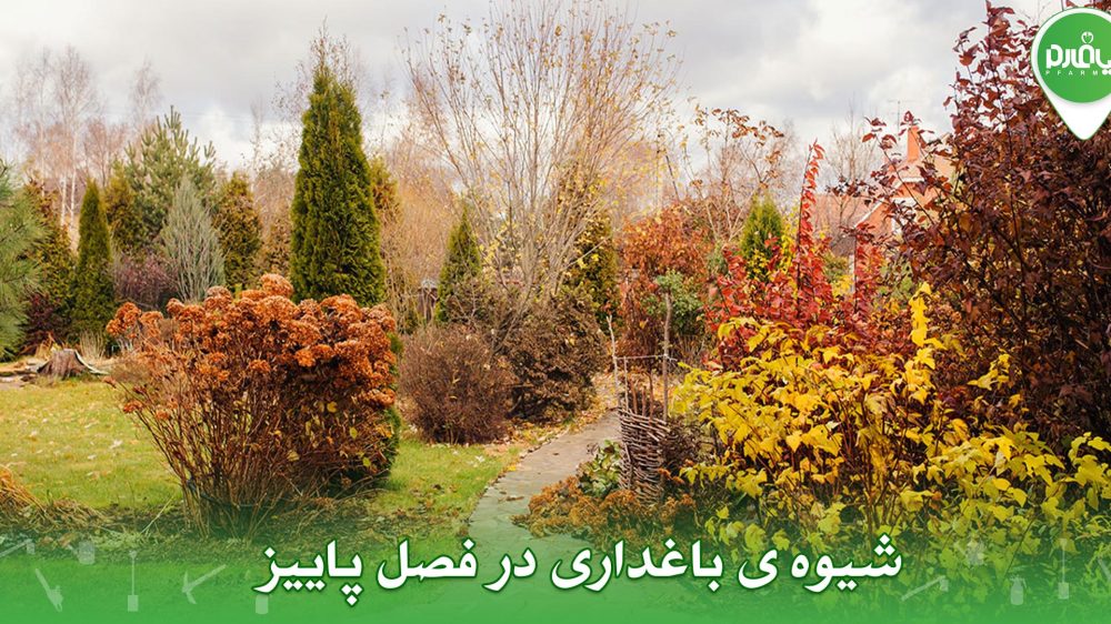 شیوه ی باغداری در فصل پاییز