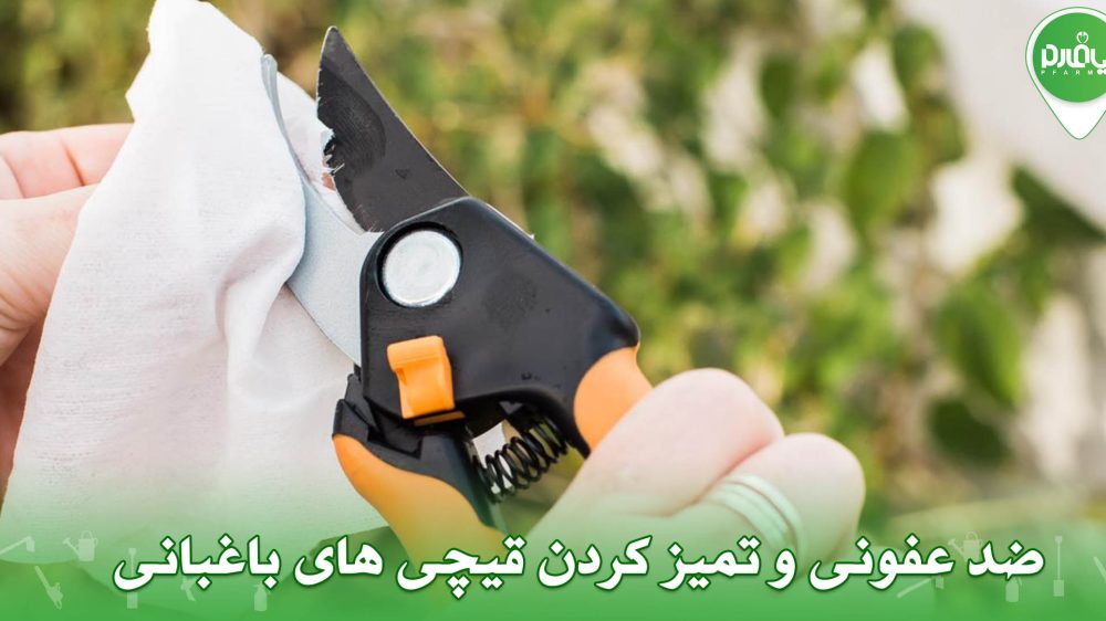 ضد عفونی و تمیز کردن قیچی های باغبانی