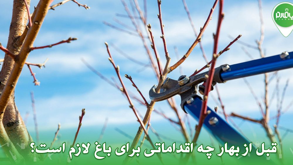 قبل از بهار چه اقداماتی برای باغ لازم است؟