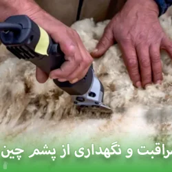 مراقبت و نگهداری از پشم چین