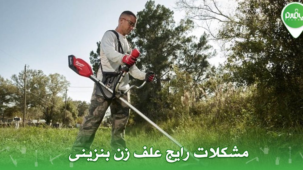 مشکلات رایج علف زن بنزینی