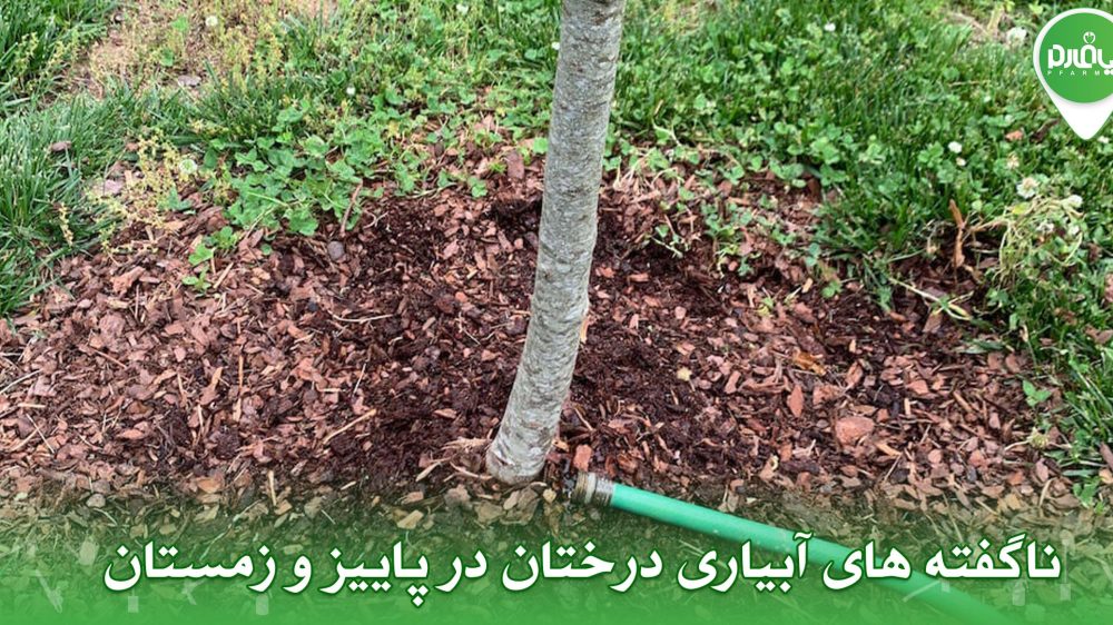 ناگفته های آبیاری درختان در پاییز و زمستان