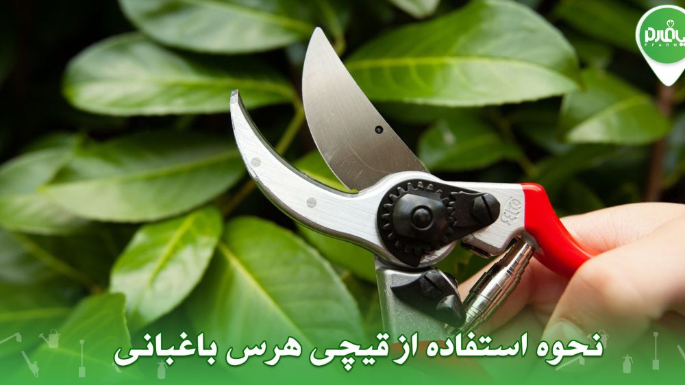 نحوه استفاده از قیچی هرس باغبانی