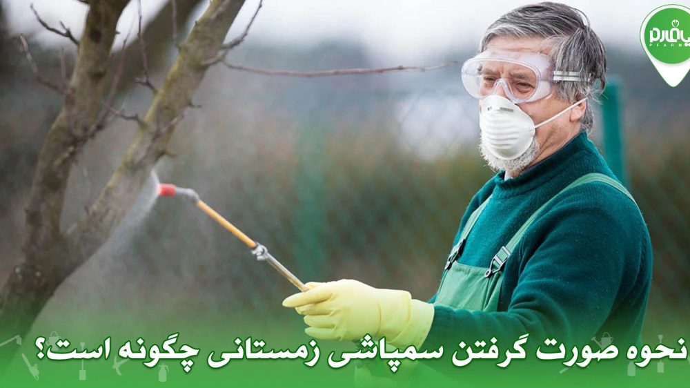 نحوه صورت گرفتن سمپاشی زمستانی چگونه است؟