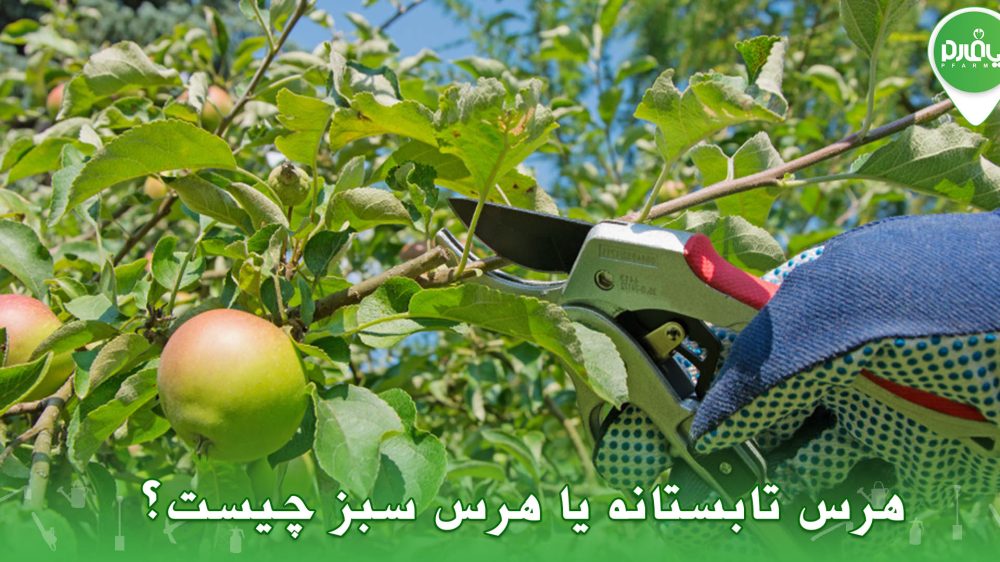 هرس تابستانه یا هرس سبز چیست؟