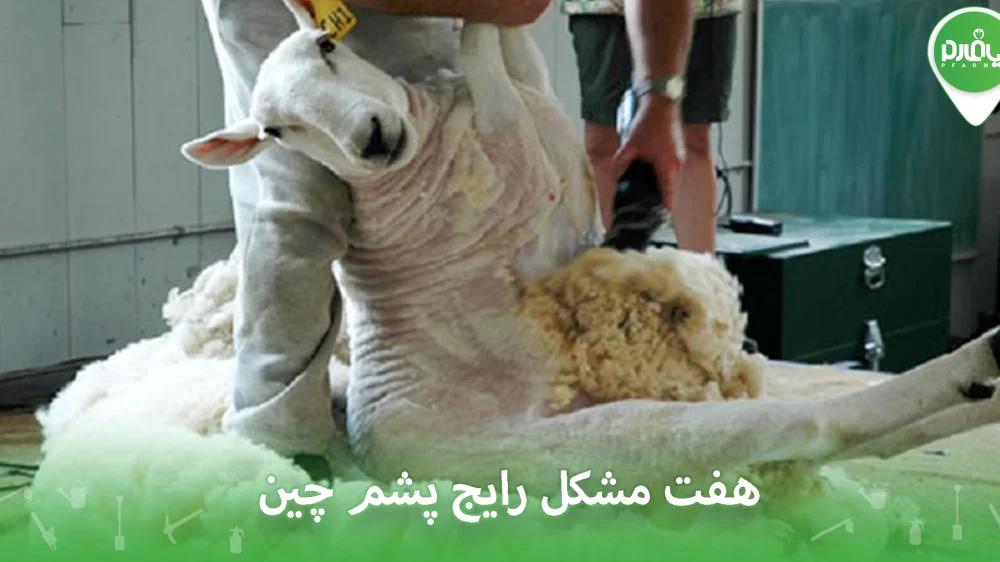 هفت مشکل رایج پشم چین