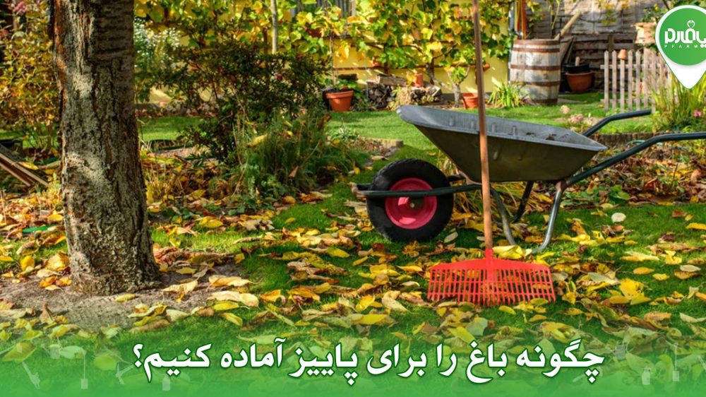 چگونه باغ را برای پاییز آماده کنیم؟