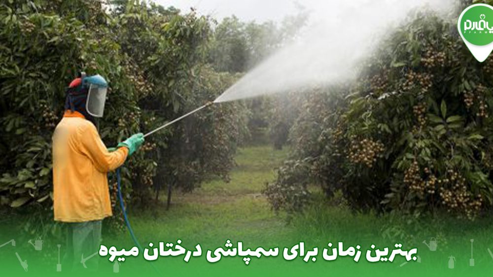 بهترین زمان برای سمپاشی درختان میوه