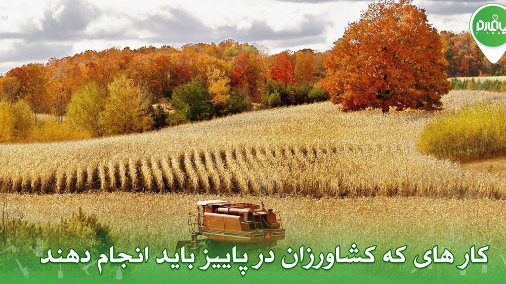 کار های که کشاورزان در پاییز باید انجام دهند