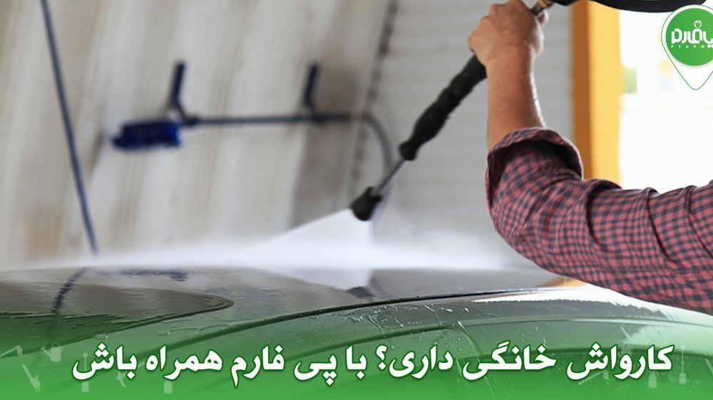 کارواش خانگی داری؟ با پی فارم همراه باش
