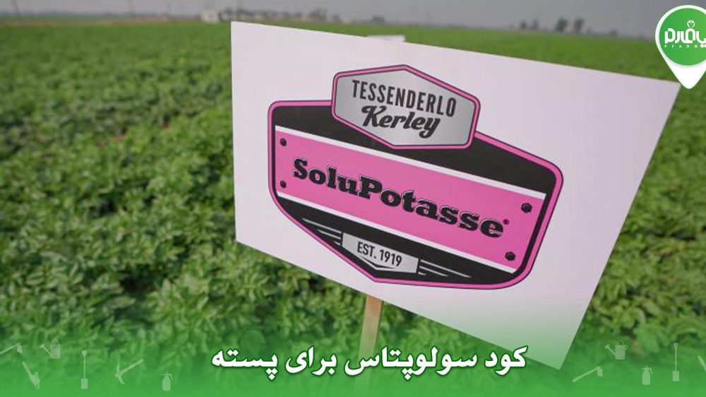 کود سولوپتاس برای پسته