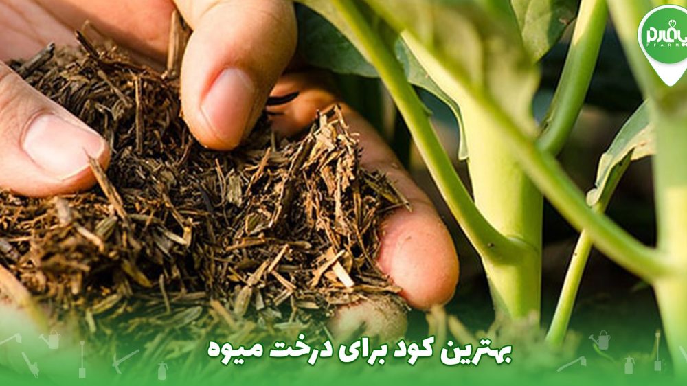 بهترین کود برای درخت میوه
