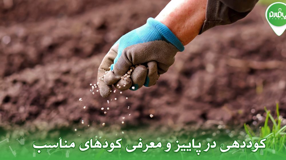 کوددهی در پاییز و معرفی کودهای مناسب