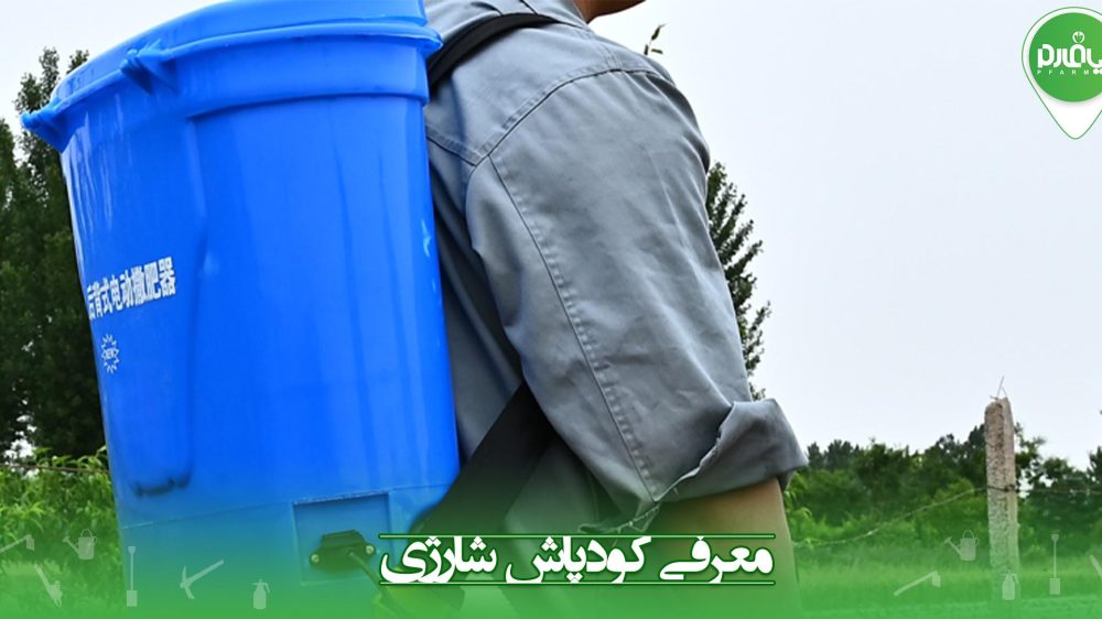 کودپ