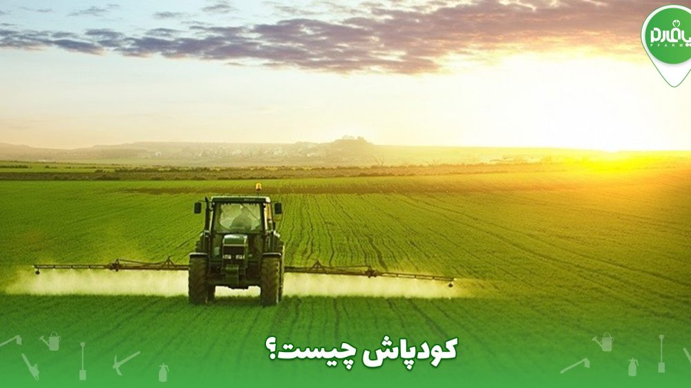 کودپاش چیست؟